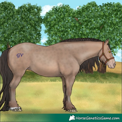 Horse Color:Sable Champagne