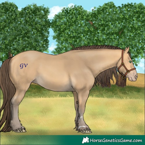 Horse Color:Amber Cream Champagne 