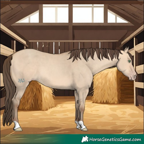 Horse Color:Amber Champagne Dun