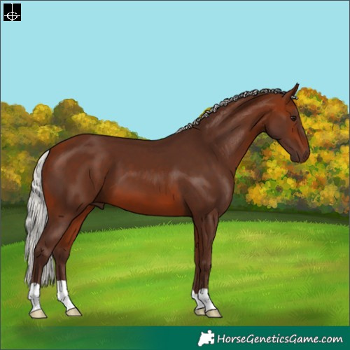 Horse Color:Silver Bay 