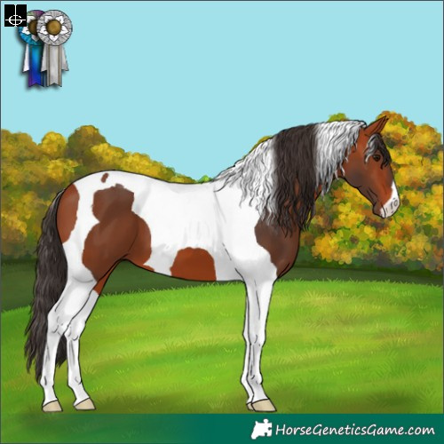Horse Color:Bay Tobiano