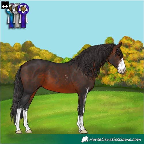 Horse Color:Brown Sabino