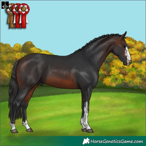 Horse Color:Brown Sabino 