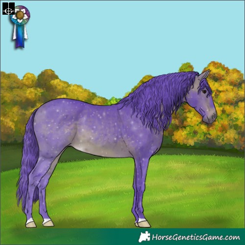 Horse Color:Watercolor Bay 
