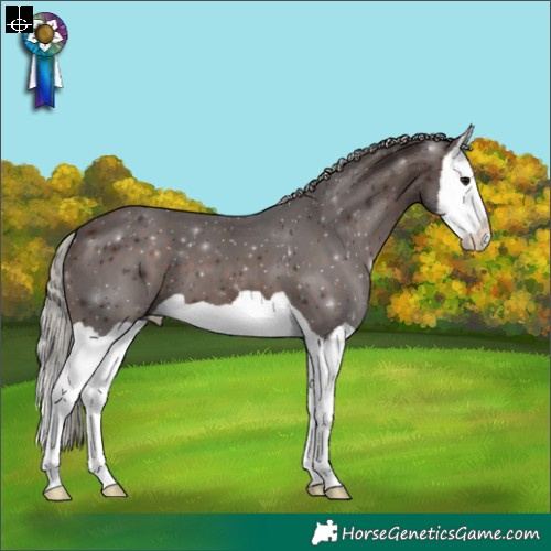 Horse Color:Silver Brown Splash