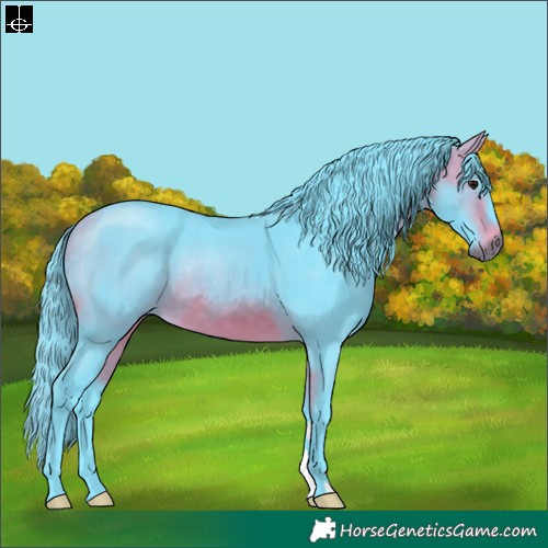 Horse Color:Watercolor Bay