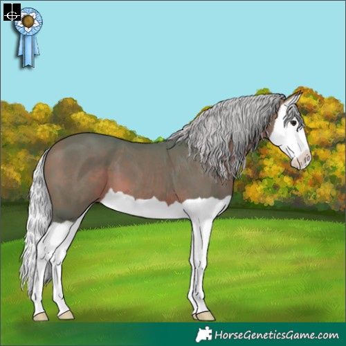 Horse Color:Watercolor Silver Bay Splash