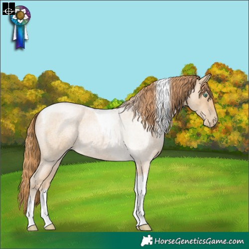 Horse Color:Smoky Blue Roan Pearl Tobiano Rabicano