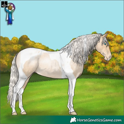 Horse Color:Silver Smoky Blue Roan Pearl Tobiano Appaloosa 