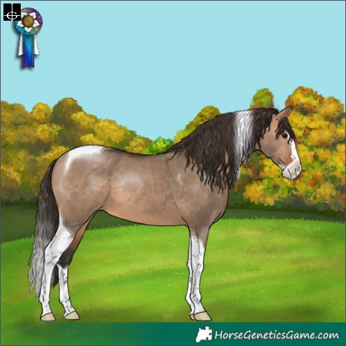 Horse Color:Bay Dun Splash Tobiano Varnish Rabicano