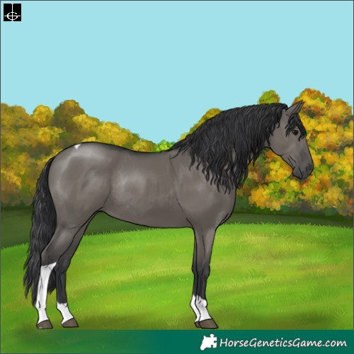 Horse Color:Grullo Tobiano Rabicano