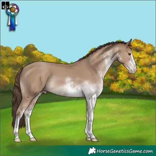 Horse Color:White Spotted Classic Champagne Tobiano Rabicano 