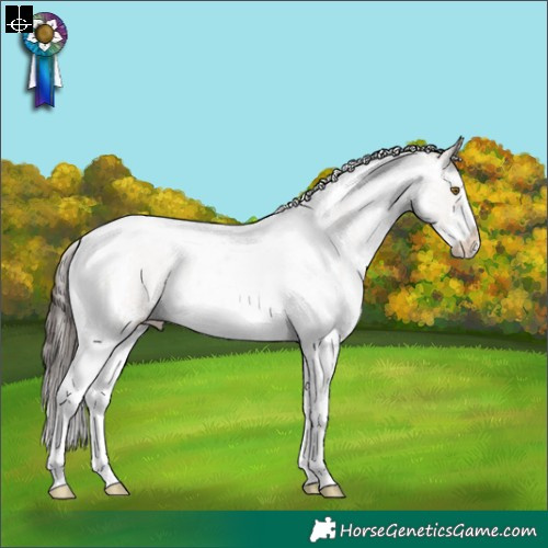 Horse Color:White Spotted Classic Champagne Dun Tobiano 