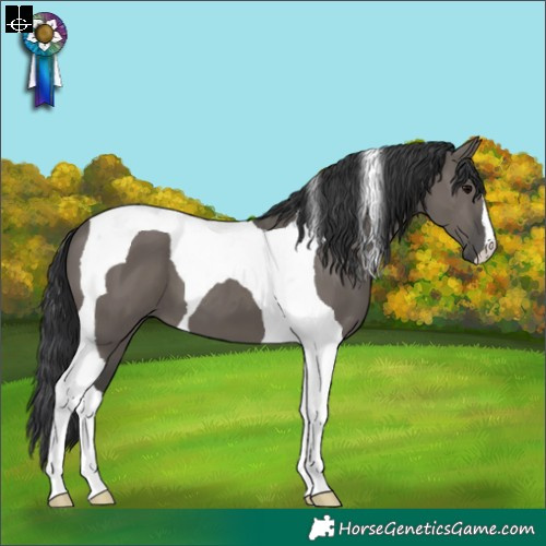 Horse Color:Grullo Tobiano