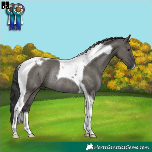 Horse Color:Grullo Tobiano Rabicano