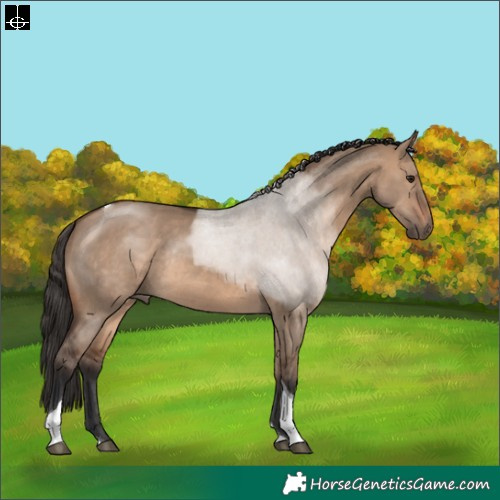 Horse Color:Brown Dun Tobiano Rabicano 