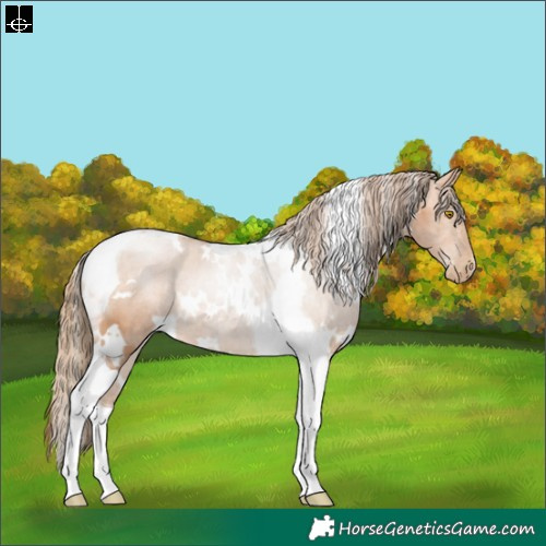 Horse Color:White Spotted Brown Pearl Tobiano 