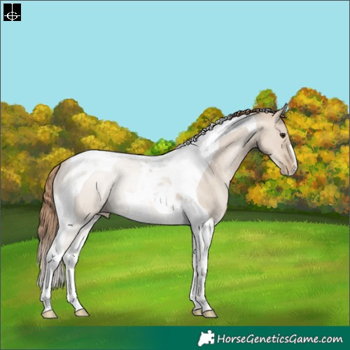 Horse Color:Grullo Pearl Tobiano