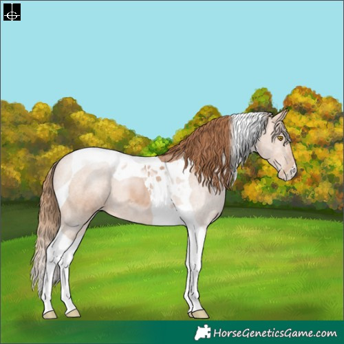 Horse Color:Brown Pearl Tobiano 
