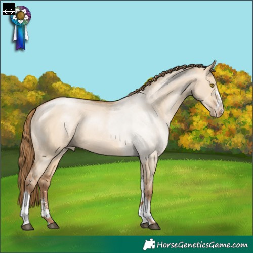 Horse Color:Brown Pearl Dun Sabino Tobiano Rabicano
