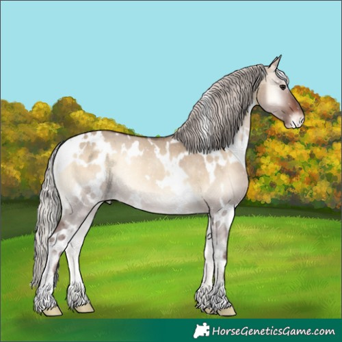 Horse Color:White Spotted Silver Brown Onyx Appaloosa Rabicano