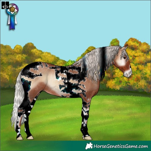Horse Color:Silver Blue Onyx Tobiano Rabicano 
