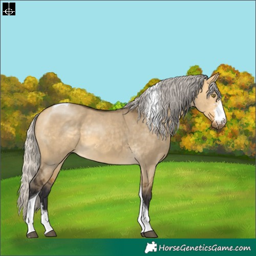 Horse Color:Silver Buckskin Dun Sabino Tobiano 