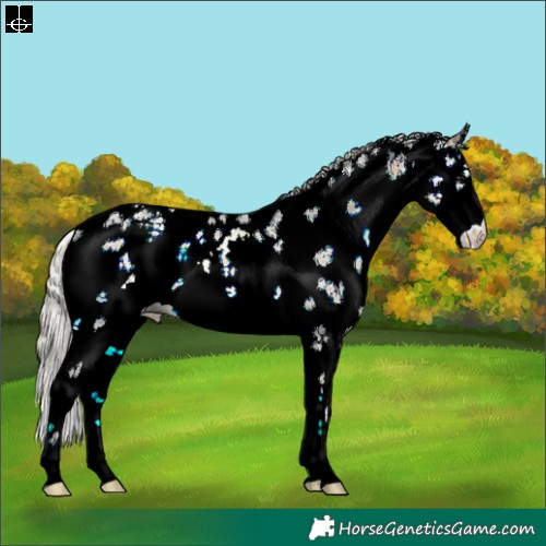 Horse Color:White Spotted Silver Buckskin Onyx Sabino Rabicano 