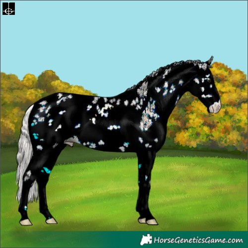 Horse Color:White Spotted Silver Buckskin Onyx Sabino Rabicano 