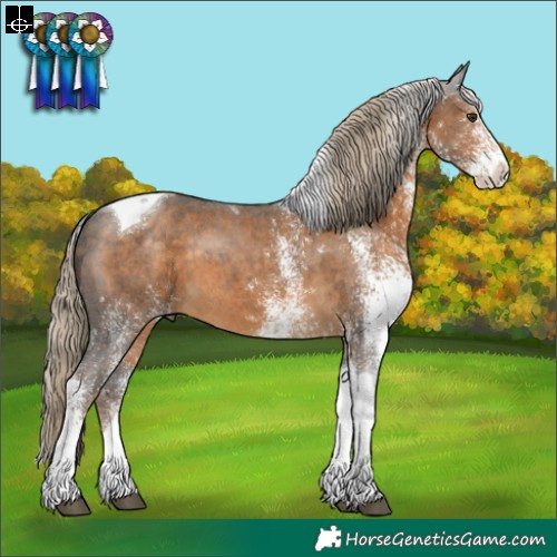 Horse Color:White Spotted Chocolate Palomino Tobiano