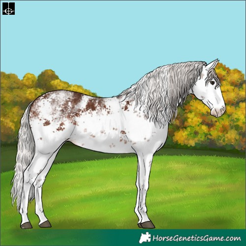 Horse Color:White Spotted Silver Brown Sabino 