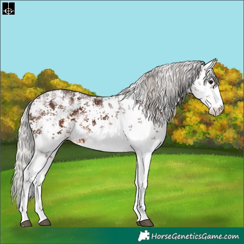 Horse Color:White Spotted Silver Brown Sabino 