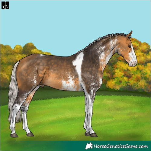 Horse Color:White Spotted Silver Buckskin Tobiano