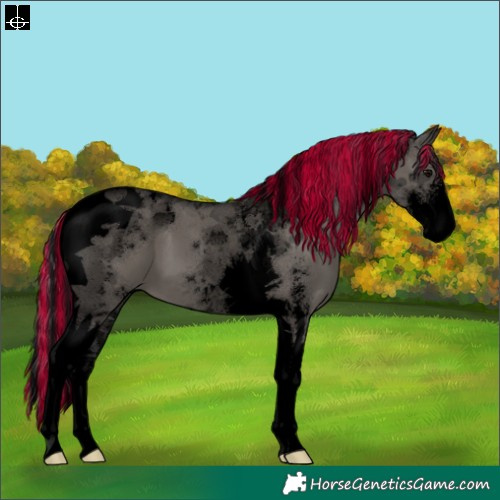 Horse Color:Void Painted Grullo Sabino Tobiano