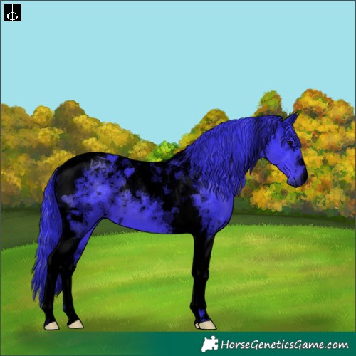 Horse Color:Void Watercolor Black Tobiano 