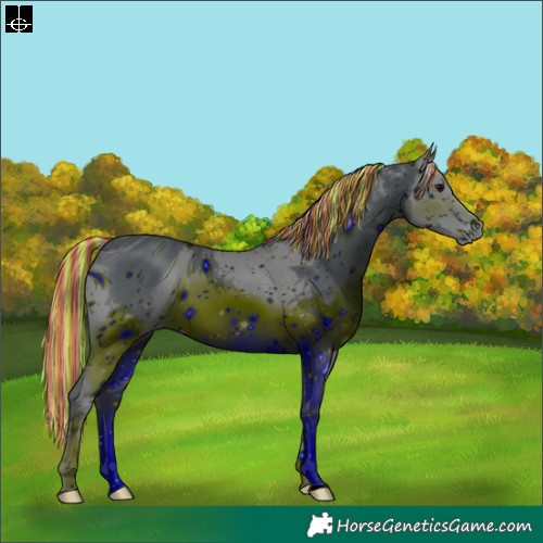 Horse Color:ERROR: UNKNOWN ANOMALY