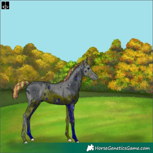 Horse Color:ERROR: UNKNOWN ANOMALY