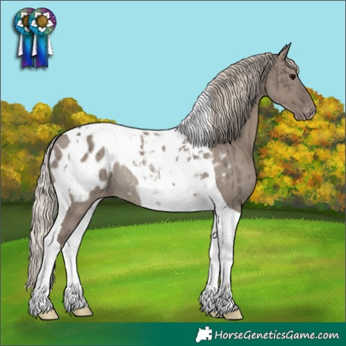 Horse Color:Silver Grullo Tobiano Appaloosa Rabicano Brindle