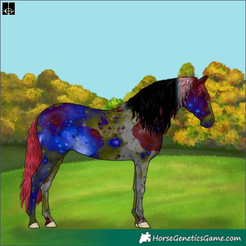 Horse Color:ERROR: UNKNOWN ANOMALY