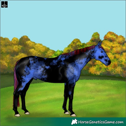 Horse Color:Void Painted Watercolor Black Tobiano