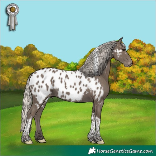 Horse Color:White Spotted Silver Smoky Black Tobiano Appaloosa 