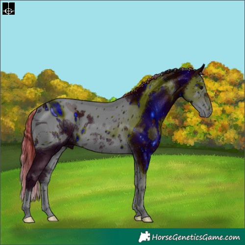 Horse Color:ERROR: UNKNOWN ANOMALY
