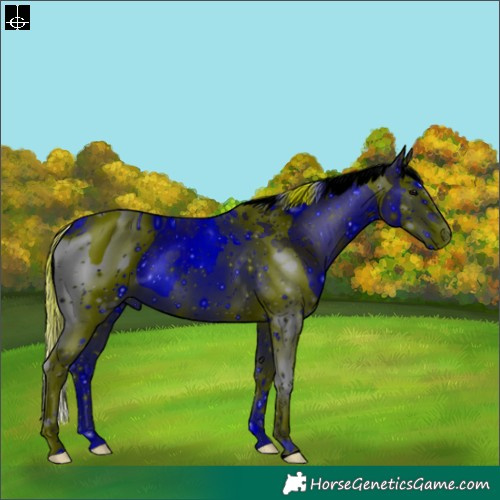Horse Color:ERROR: UNKNOWN ANOMALY