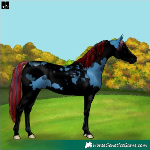 Horse Color:Void Painted Watercolor Black Splash Tobiano 