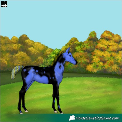 Horse Color:Void Painted Watercolor Chocolate Black Tobiano 