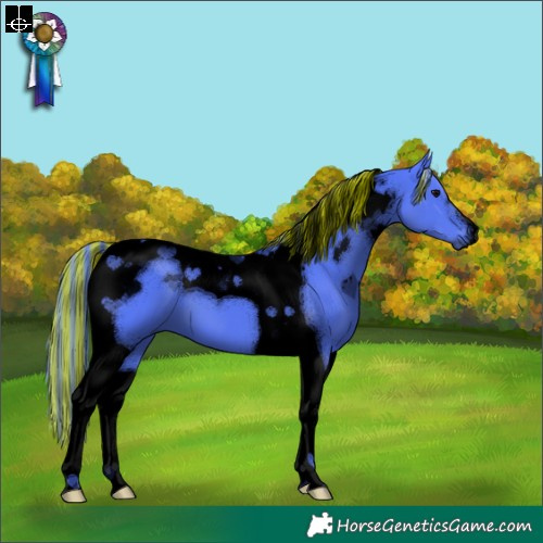 Horse Color:Void Painted Watercolor Chocolate Black Tobiano 