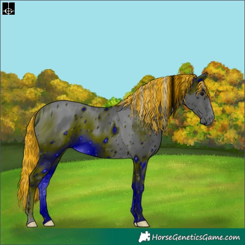 Horse Color:ERROR: UNKNOWN ANOMALY