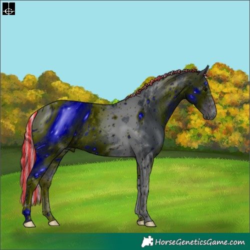 Horse Color:ERROR: UNKNOWN ANOMALY
