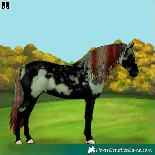 Horse Color:Void Painted Watercolor Grullo Splash Tobiano Brindle 
