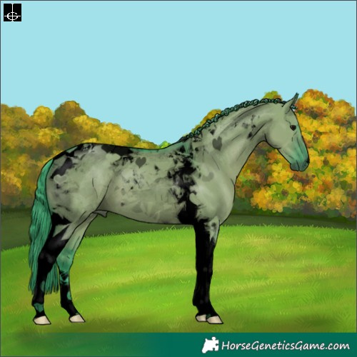 Horse Color:Void Watercolor Grullo Tobiano